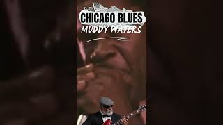Chicago Blues 🎸 Legendary Blues Guitar Tone   #Shorts #ChicagoBlues #GuitarTone