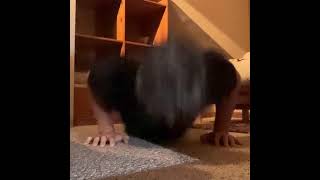 Day 140: Push-ups until failure challenge #pushups #adls