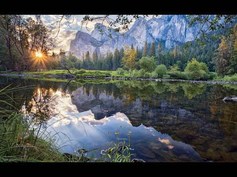 Chill Night - Amine Maxwell \u0026 MICHAL