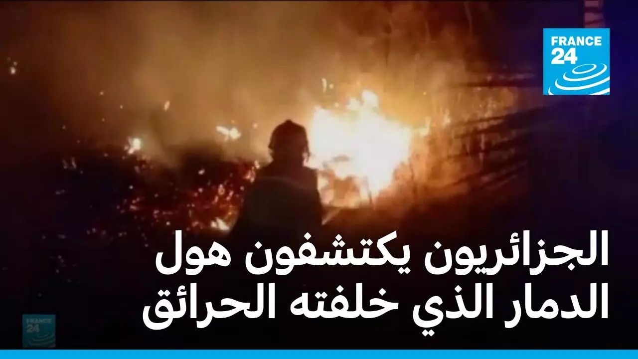 �������: ����� ��� ���� �� ������� �������� ���� ��� �������
 - نشر قبل 17 دقيقة