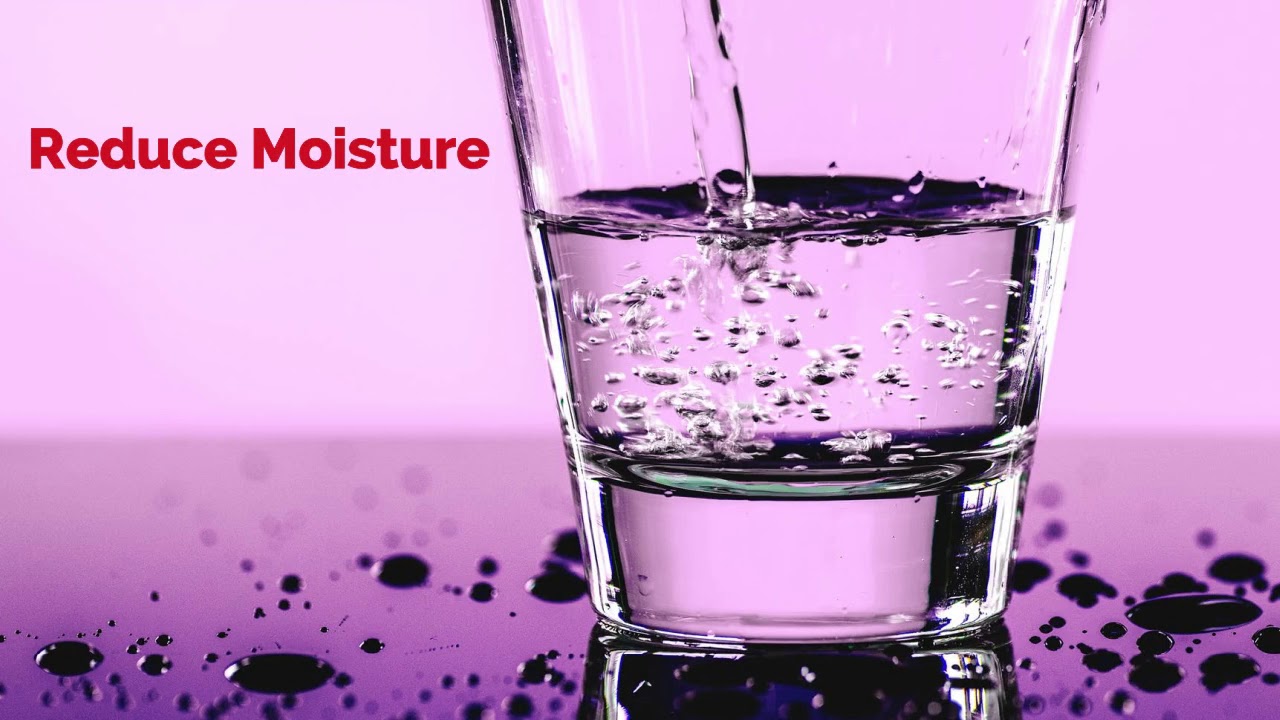 Pest Control Columbus Ohio | xterminator.com