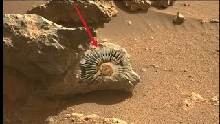 Mars perseverance Rover Captured a New 4k Stunning Video Footage of Mars Surface||