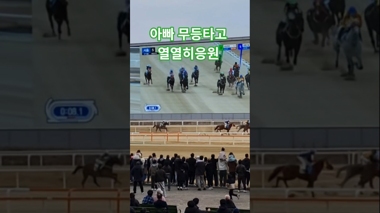안보여 더올려~#경마 #말 #달려라말 #shorts #horse