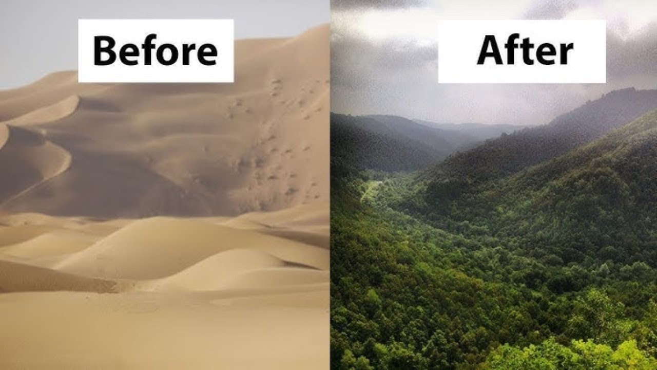 Saudi Arabia’s Incredible Desert Farming Transformation