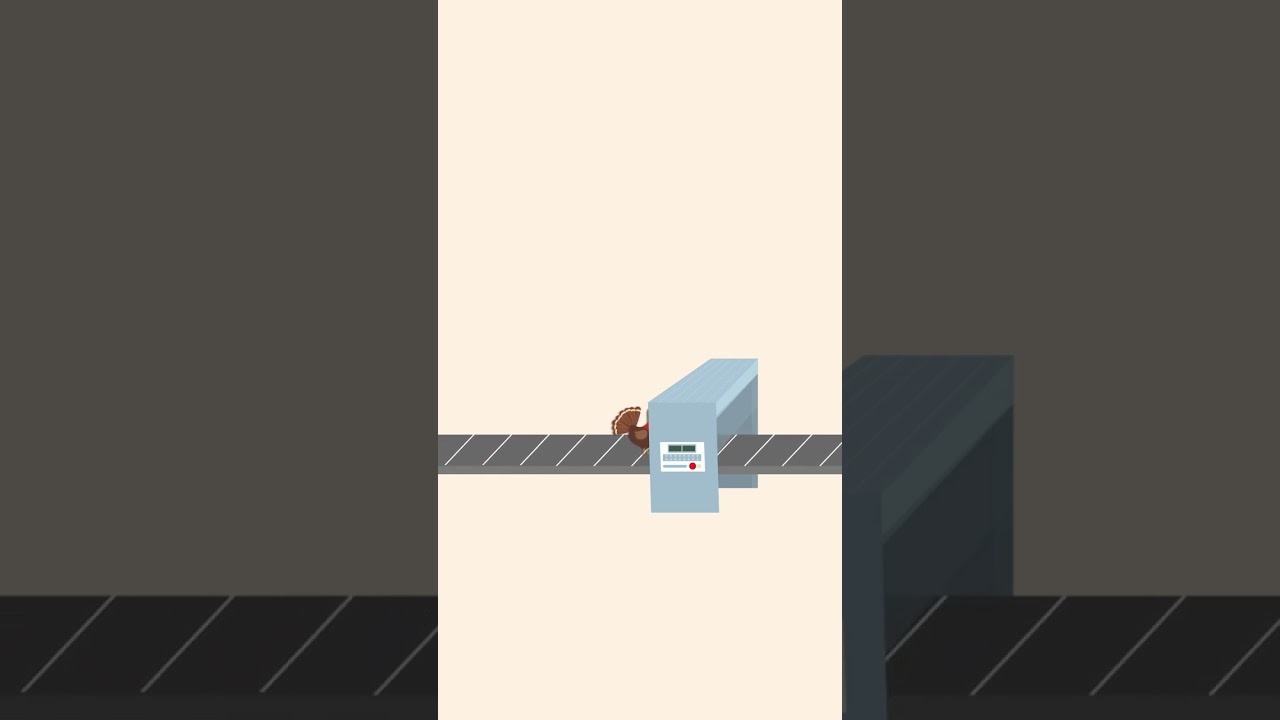 Happy Thanksgiving 2024 | Celebrating Gratitude & Cooking the Perfect Turkey 🦃🍂 | 