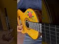 Mariachi Mexico song music guitar desperado