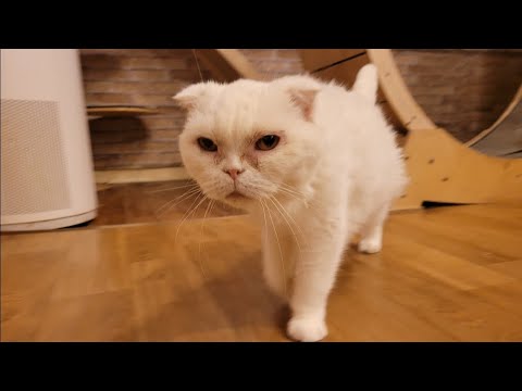 <strong>복막염</strong> 확진