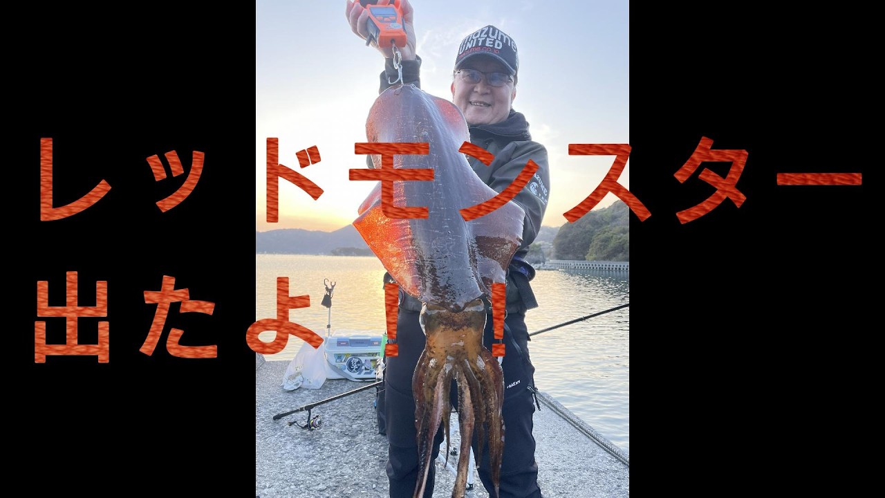 釣行日記　第8話　🦑愛媛県愛南町大型アオリイカ特集！