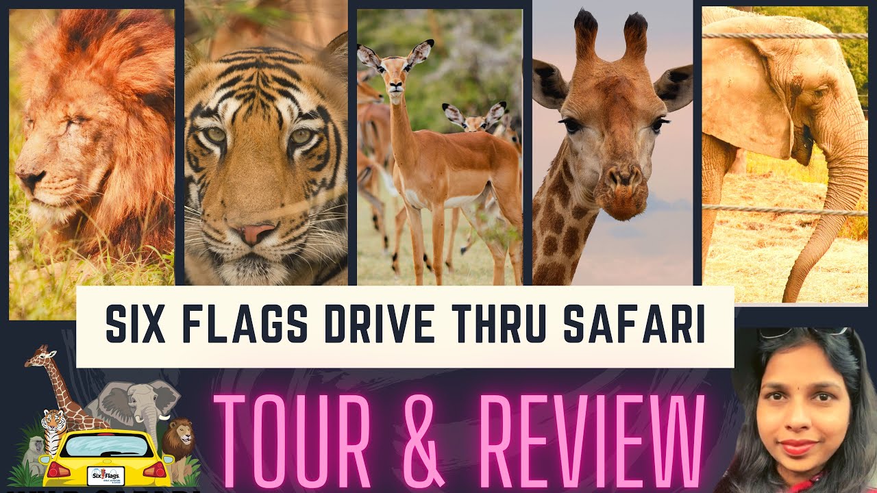 six flags safari reviews