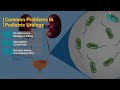 Pediatric Urology Essentials: Obstruction UPJ, Hypospadias et VUR | Dr Vidhya T | Apollo Hospitals