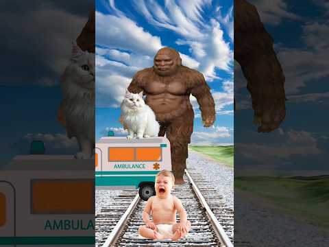 To Cat On Cute Baby Gorilla Help Me Ambulance Funny Vfx Video Youtubeshorts