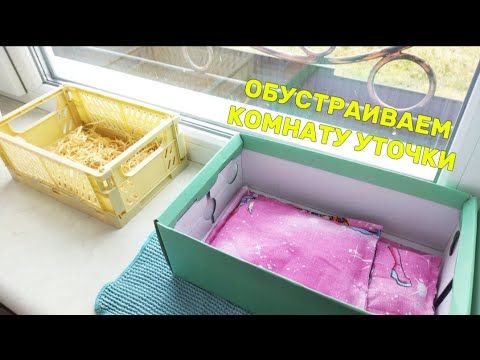 Обустраиваем комнату Уточки | Идеи для уточек LALAFANFAN