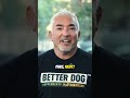 Three Things Every Dog Needs Daily