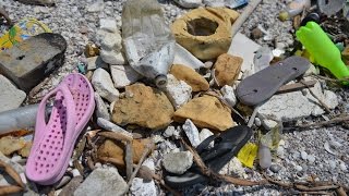 This Is the #breakfreefromplastic Movement