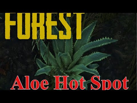 Aloe Hot Spot The Forest - YouTube