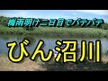 びん沼川　へらぶな釣り　2018年6月30日㈯　パラソルしてもヘバる