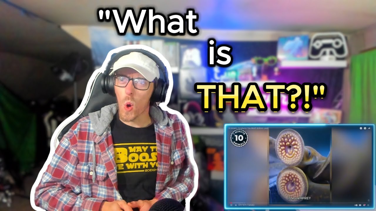 Реакция муравья-призрака на 10 самых безумных животных в мире! (БЕЗ ЗВУКА)