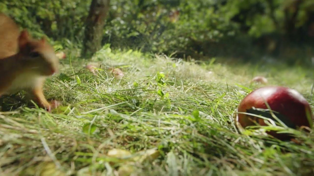 bellaflora - Nachhaltige Entwicklung