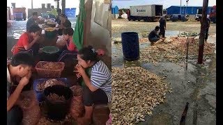 Rùng mình với “công nghệ” rút xương chân gà… bằng miệng nhìn mà choáng