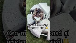 Nu aveți idee cat de frumoasă eraa 🤭