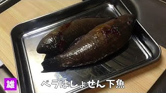 ベラ料理 Youtube