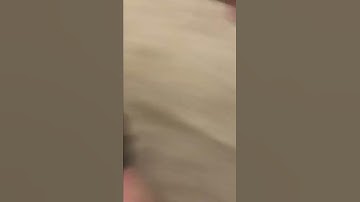 Hoverboard fail #shorts #fail #funny #funnyfails #fyp