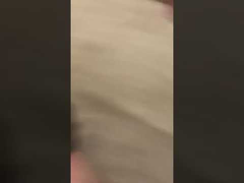 Hoverboard fail #shorts