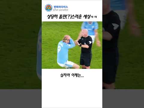 상당히 홀란(?)스러운 세상 ㅋㅋ thumbnail