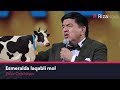 Zokir Ochildiyev - Esmeralda laqabli mol | Зокир Очилдиев - Эсмералда лакабли мол