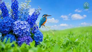 (No Ads) Deep Calm Therapy 🌿 Healing Music to Relax Your Nervous System & Restore Peace