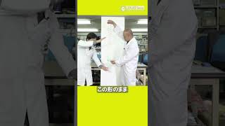 クイズ：スリンキーの落下/ 米村でんじろう[公式] #実験 #科学