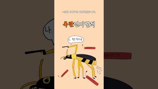 곤충 - 11 폭탄먼지벌레 (Bombardier beetle)