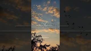 Meri Zindagi hei tu - Asim Azhar #trending #haniaamir #drama #pakistan #shorts #ost #lyrics #status