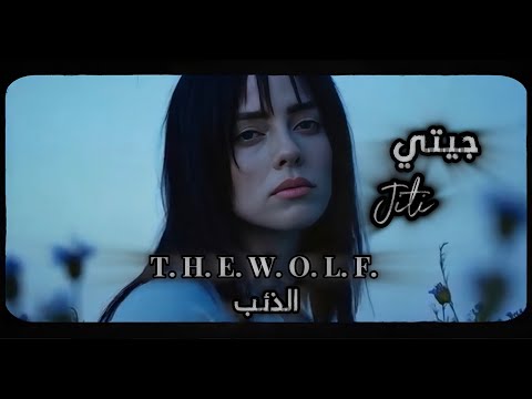        الذئب جيتي 2025