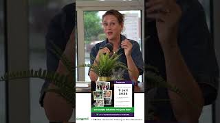 9 juli 2026 aflevering 6 van GroenewoudTV met onder anderen burgemeester van Tilburg Fleur Gräper.