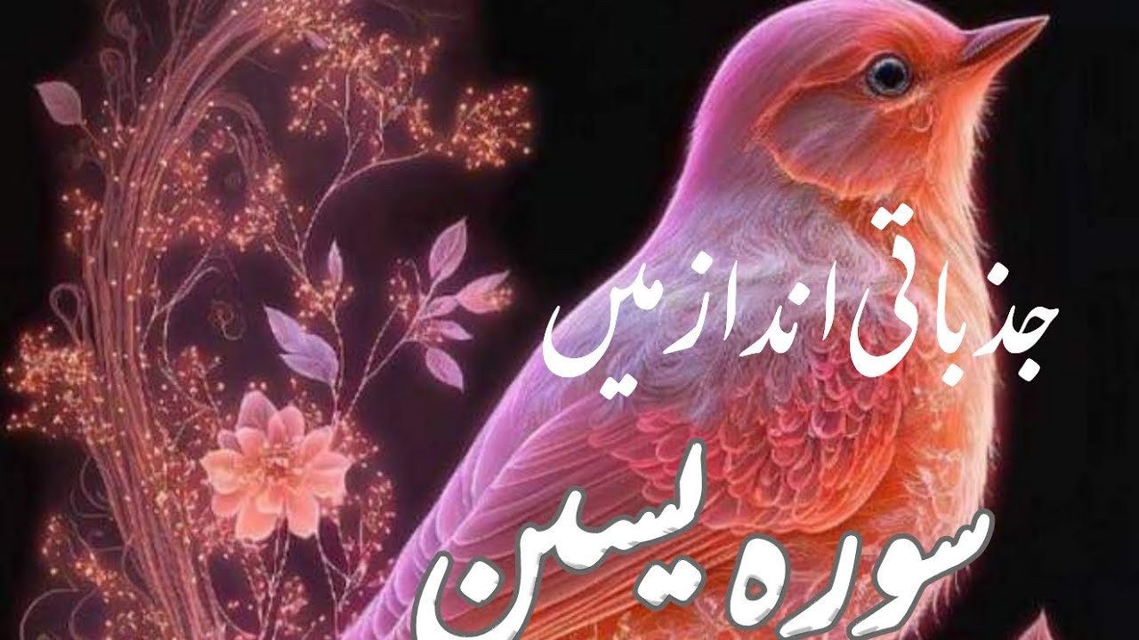 Sure e Yasin (Yaseen) With most beautiful video| Episode 255|Qari E ...