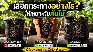 เลือกกระถางให้เหมาะกับต้นไม้ โตไว รากเดินดี! | เกษตรวิทย์