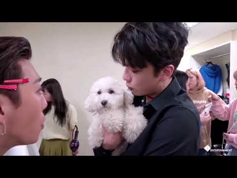 B.A.P(비에이피) 2017 WORLD TOUR 'PARTY BABY' CLIMAX Making Film 日本語字幕