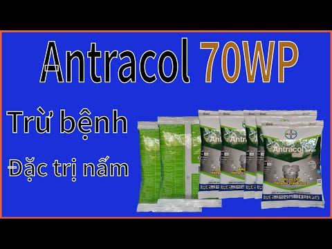 Video ANTRACOL 70WP -Thuôc trừ bệnh - Đặc trị nấm | Nông... - youtube
