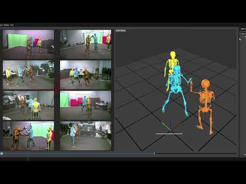 Markerless Motion Capture with Theia+Qualisys