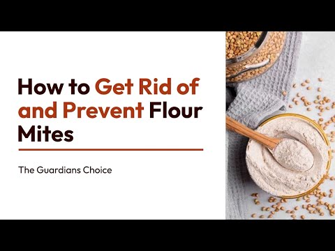 Video: How to Fix Dough Not Rising: 12 Steps
