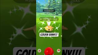 Shiny Magikarp Catch in Pokemon Go #shorts #pokemongo #magikarp