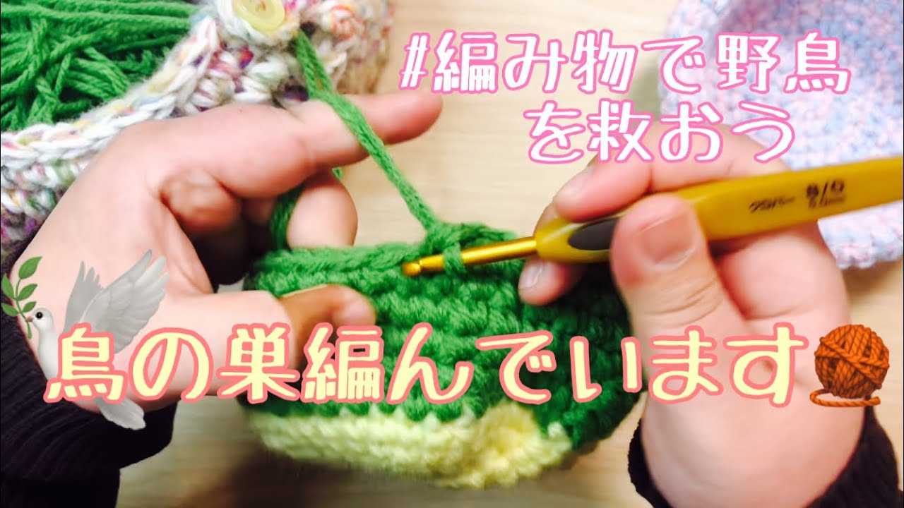 鳥の巣を編んでいます ep.12 - YouTube