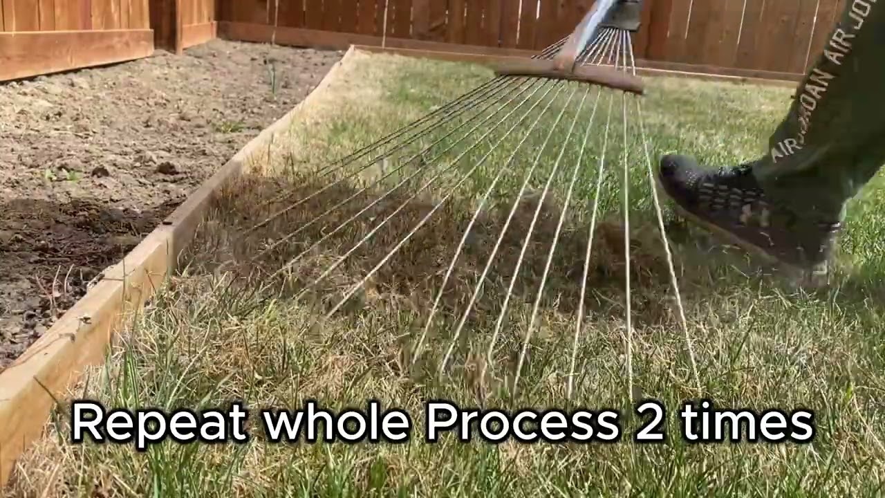 Grass Thatching After Winter 2024