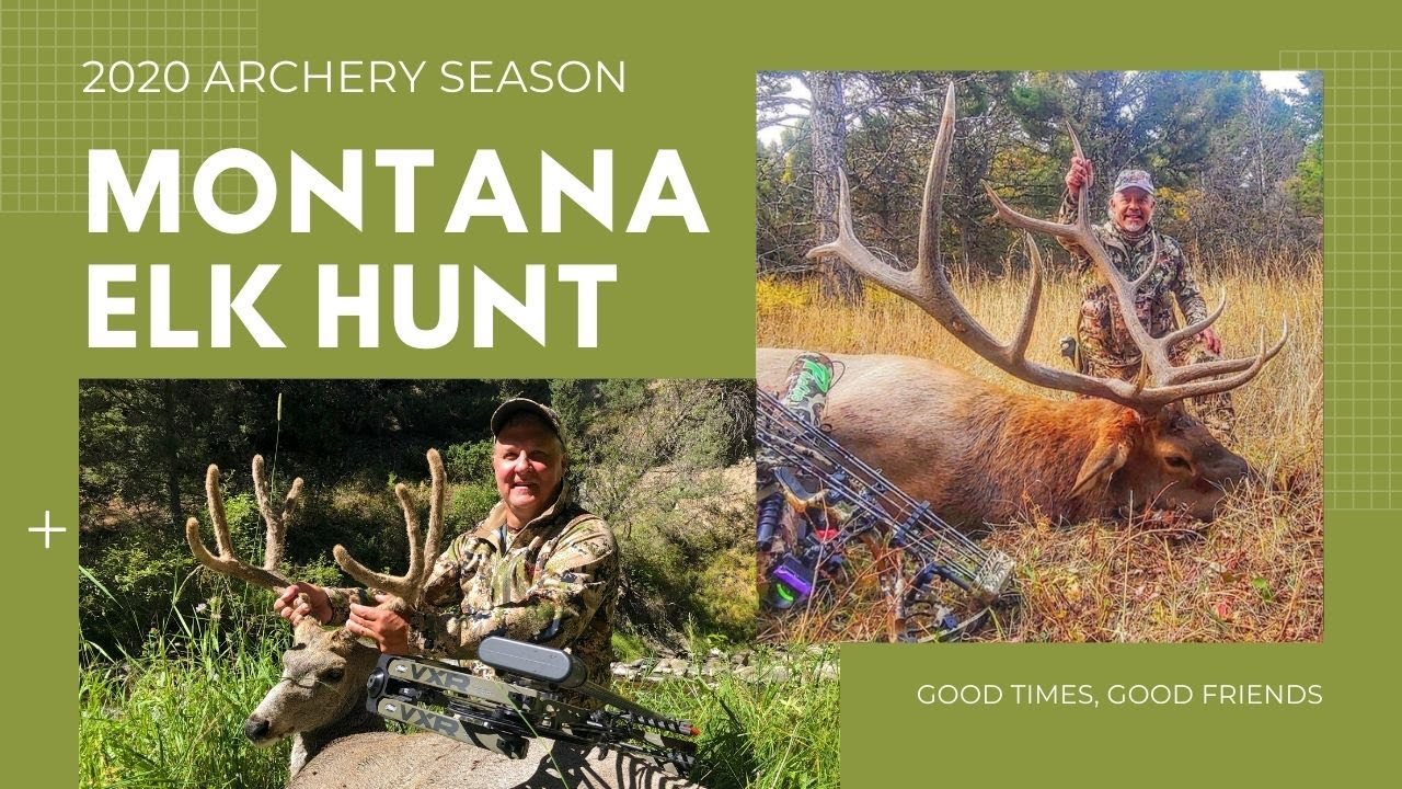 Montana Archery Elk Hunt 2020 YouTube