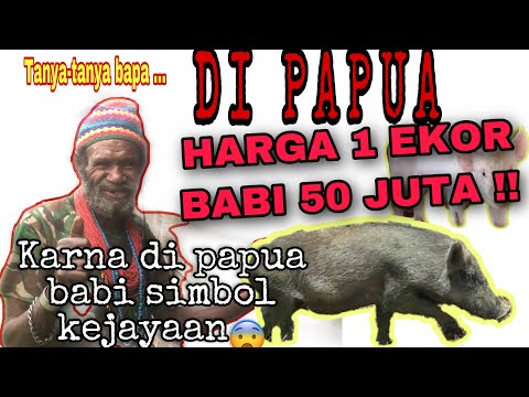 Mengapa Babi Mahal