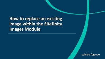 How to replace and existing image within the Sitefinity Images Module