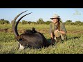 Hunting Cape buffalo in the swamps of Mozambique - TIA FIVE