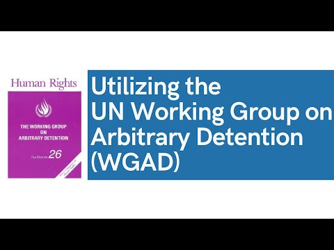 Utilizing the UN Working Group on Arbitrary Detention (WGAD) (English Subtitles Available)