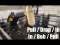 Heavy Bag Drill : Pull, Drop, In + Lead Hand(s) - In, Bob, Pull + Rear Hand(s)